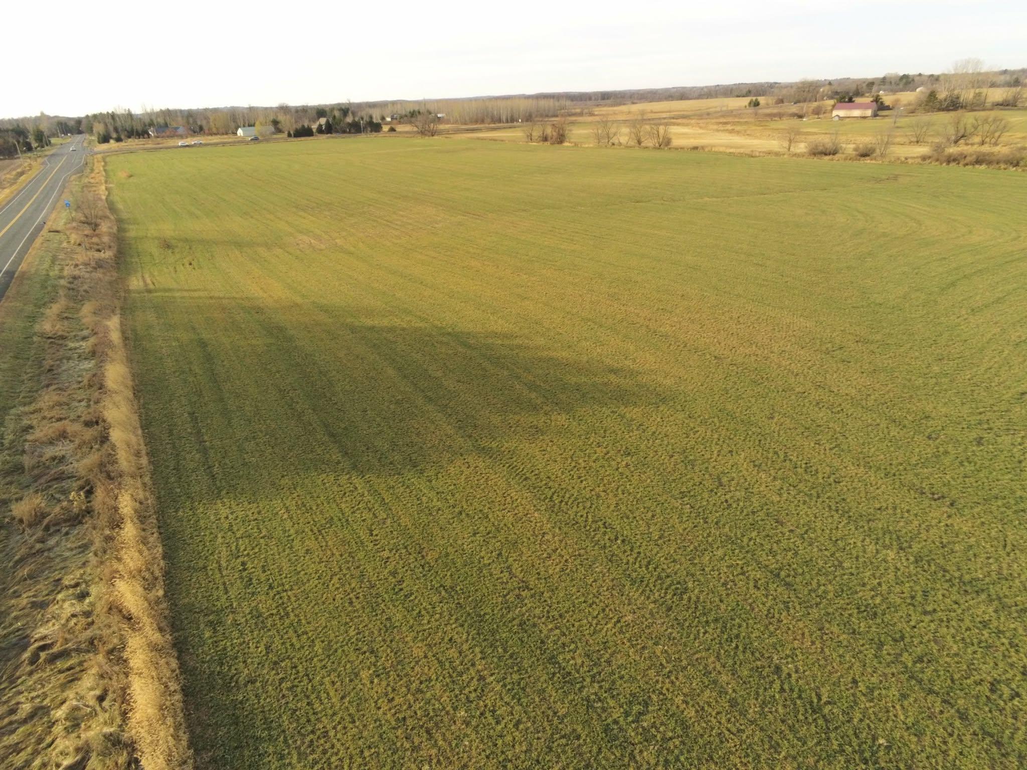 View of Land at Lot 1 Rush Lake Trail, Braham MN 55006, Braham (7 of 12) - Mike Wilen | Minnesota Team Real Estate