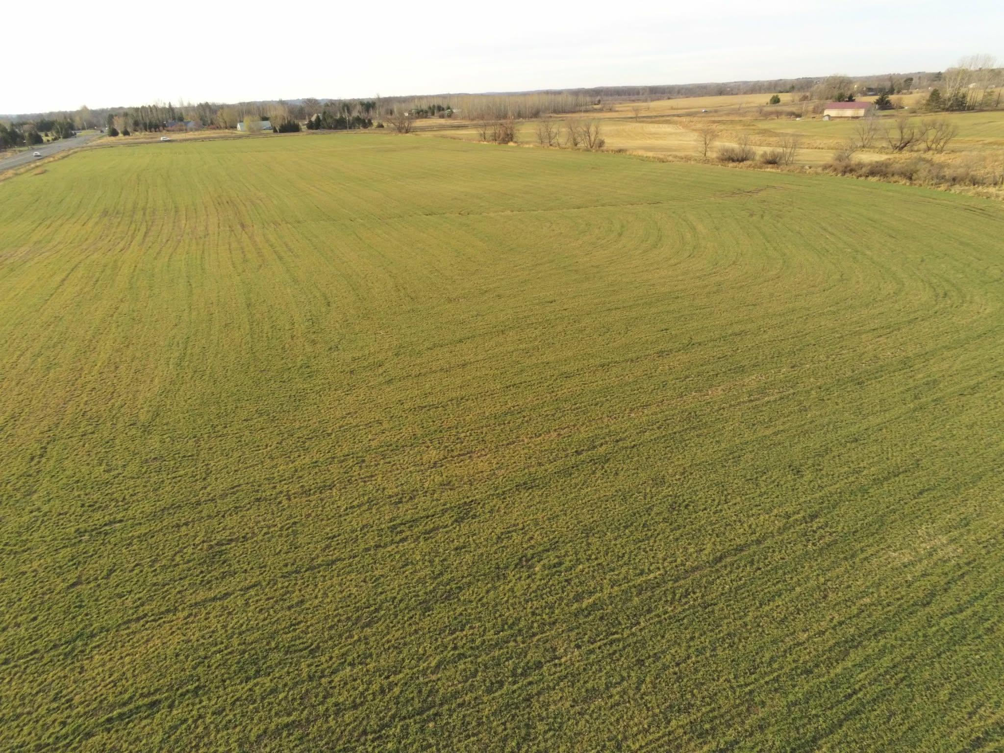 View of Land at Lot 1 Rush Lake Trail, Braham MN 55006, Braham (6 of 12) - Mike Wilen | Minnesota Team Real Estate