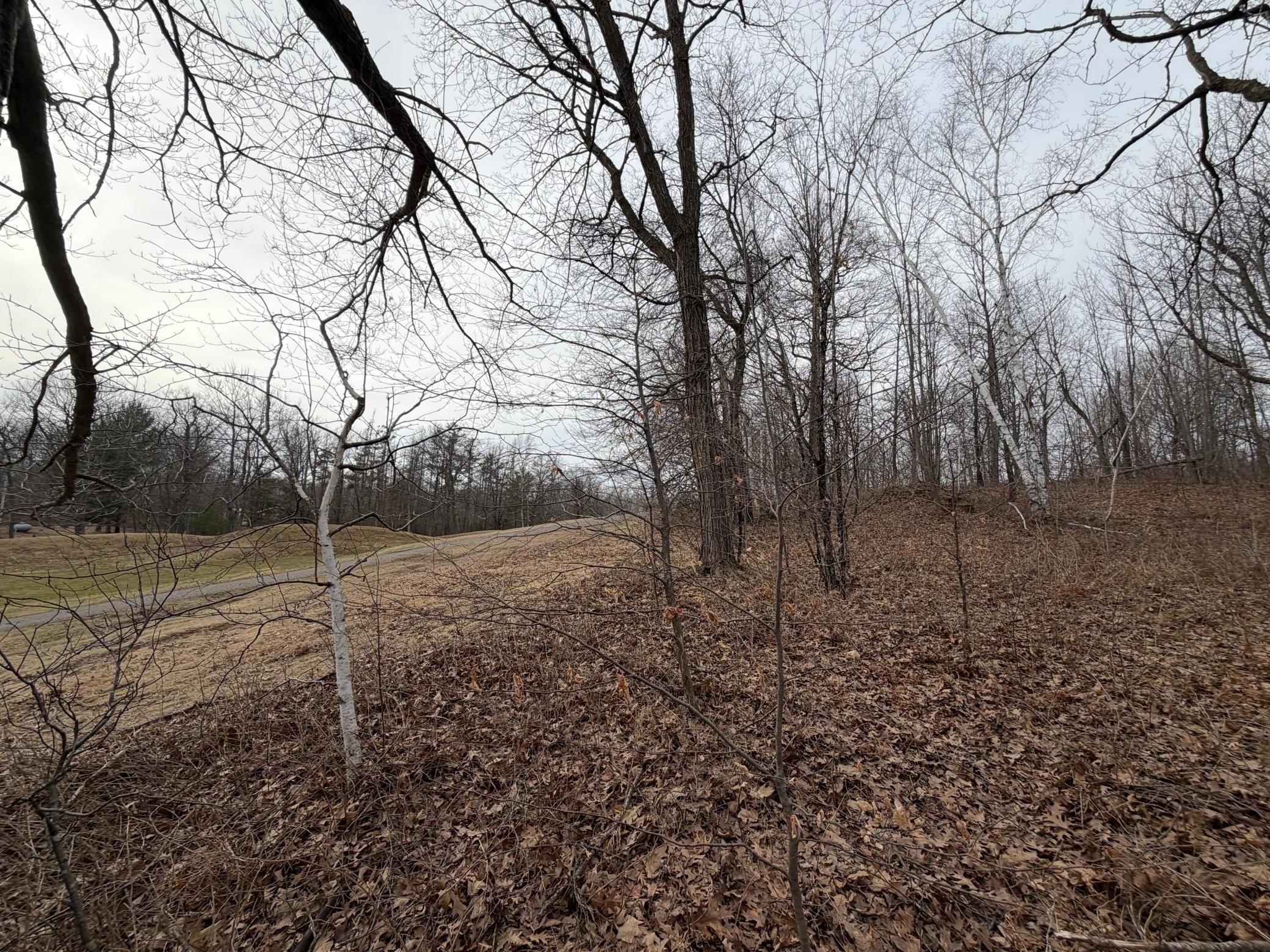 View of Land at TBD Tee Top, Garrison MN 56450, Garrison (8 of 18) - Mike Wilen | Minnesota Team Real Estate