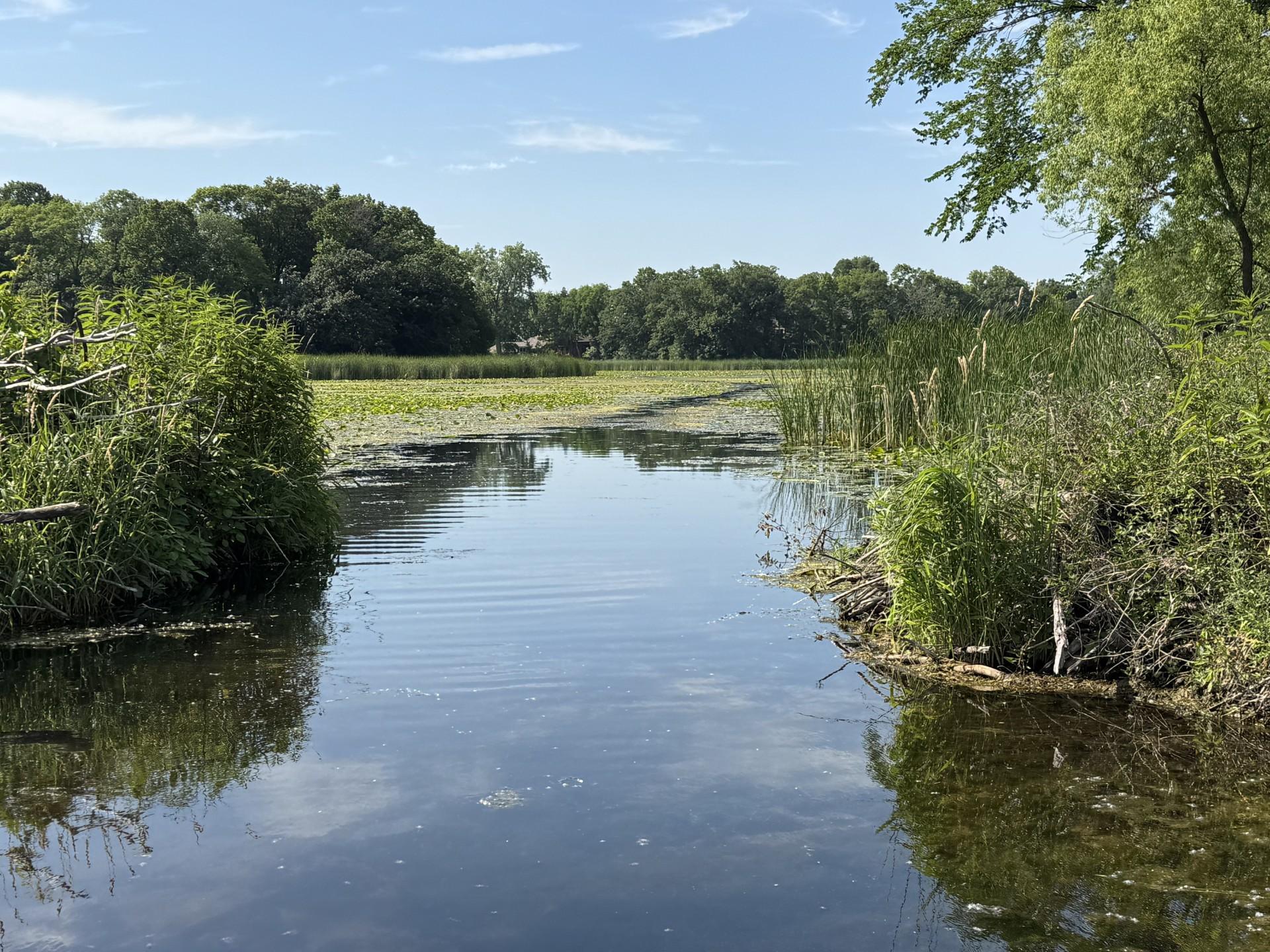 View of Land at 51XX Waterbury Road, Mound MN 55364, Mound (12 of 33) - Mike Wilen | Minnesota Team Real Estate