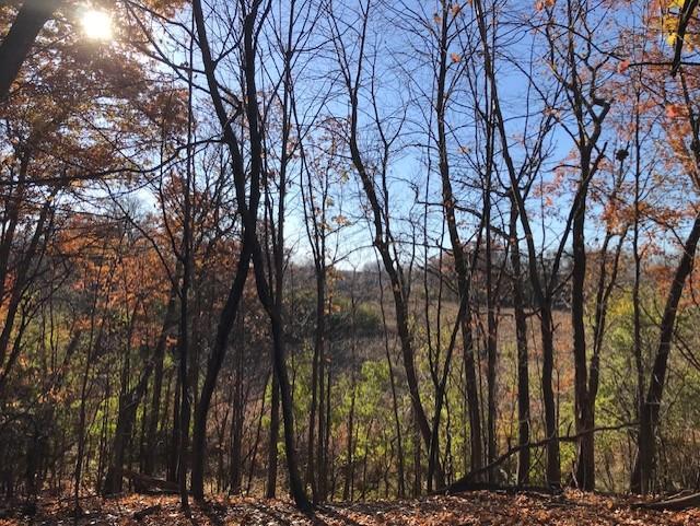 View of Land at 51XX Waterbury Road, Mound MN 55364, Mound (16 of 33) - Mike Wilen | Minnesota Team Real Estate