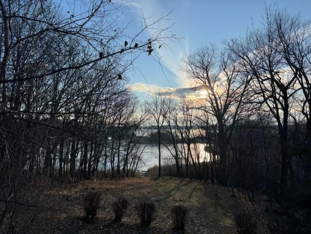 View of Land at 51XX Waterbury Road, Mound MN 55364, Mound (21 of 33) - Mike Wilen | Minnesota Team Real Estate