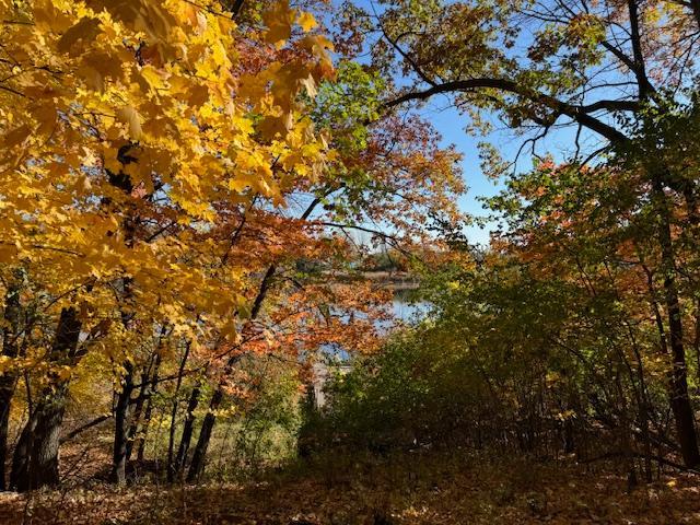 View of Land at 51XX Waterbury Road, Mound MN 55364, Mound (23 of 33) - Mike Wilen | Minnesota Team Real Estate