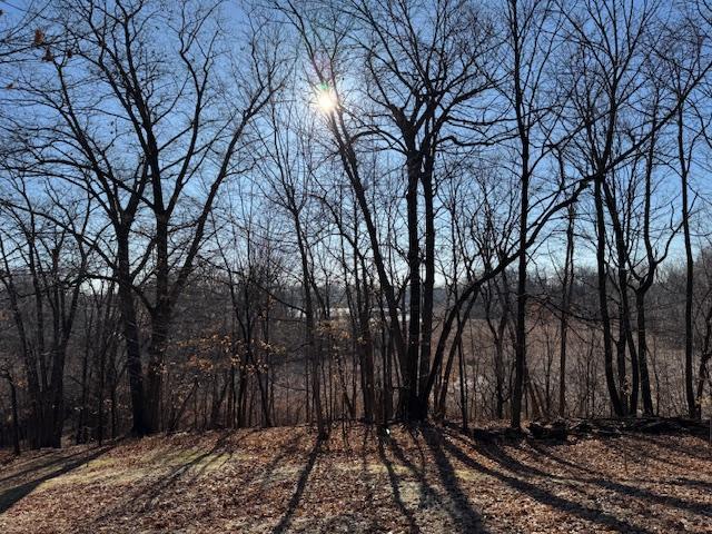 View of Land at 51XX Waterbury Road, Mound MN 55364, Mound (29 of 33) - Mike Wilen | Minnesota Team Real Estate