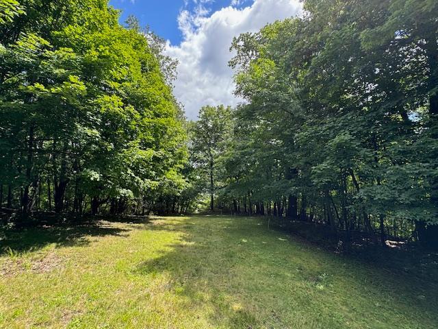 View of Land at 51XX Waterbury Road, Mound MN 55364, Mound (15 of 33) - Mike Wilen | Minnesota Team Real Estate