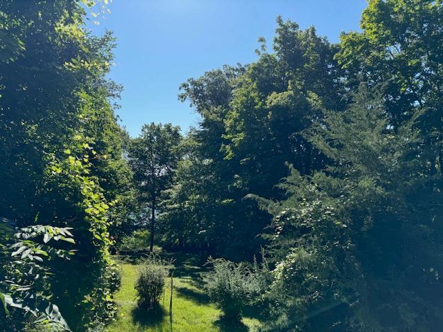 View of Land at 51XX Waterbury Road, Mound MN 55364, Mound (31 of 33) - Mike Wilen | Minnesota Team Real Estate