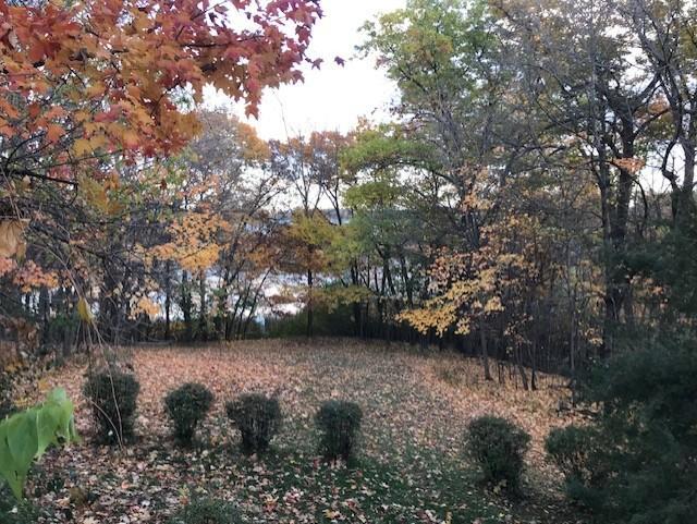 View of Land at 51XX Waterbury Road, Mound MN 55364, Mound (33 of 33) - Mike Wilen | Minnesota Team Real Estate