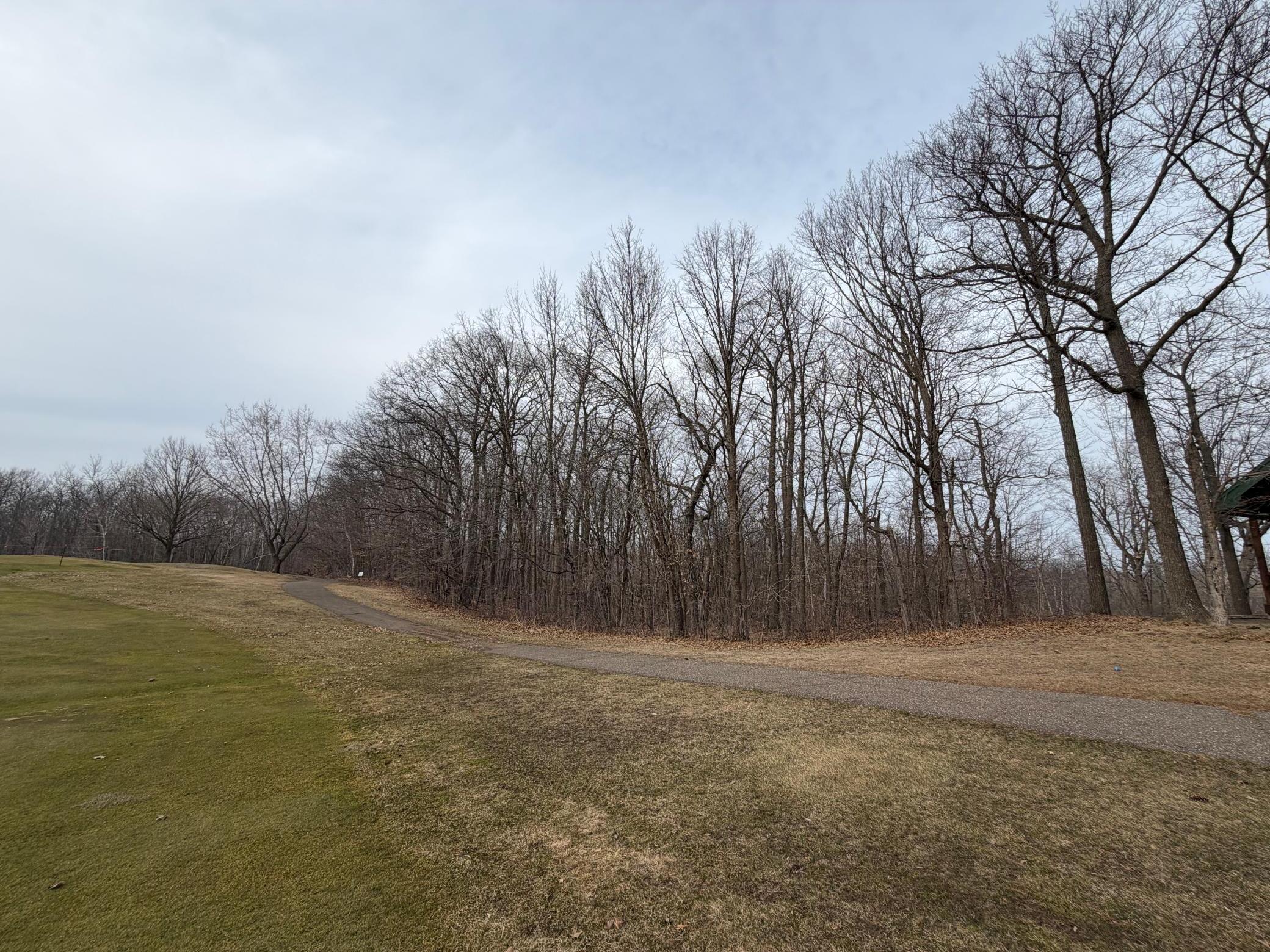 View of Land at TBD Short Putt, Garrison MN 56450, Garrison (9 of 17) - Mike Wilen | Minnesota Team Real Estate