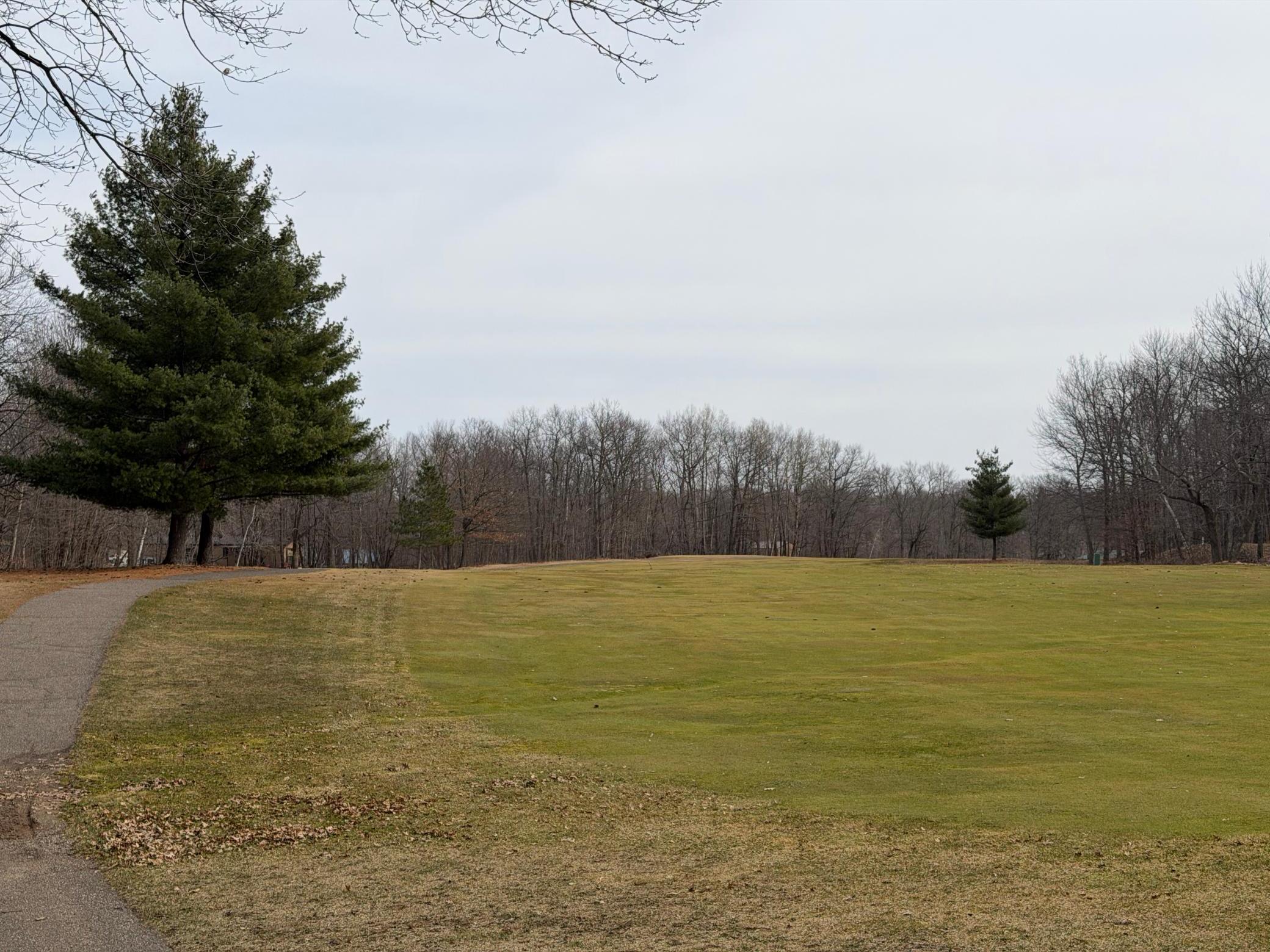 View of Land at TBD Short Putt, Garrison MN 56450, Garrison (11 of 17) - Mike Wilen | Minnesota Team Real Estate