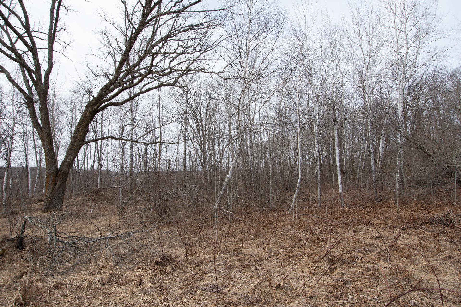 View of Land at xxx 360th Street, Onamia MN 56359, Onamia (15 of 17) - Mike Wilen | Minnesota Team Real Estate