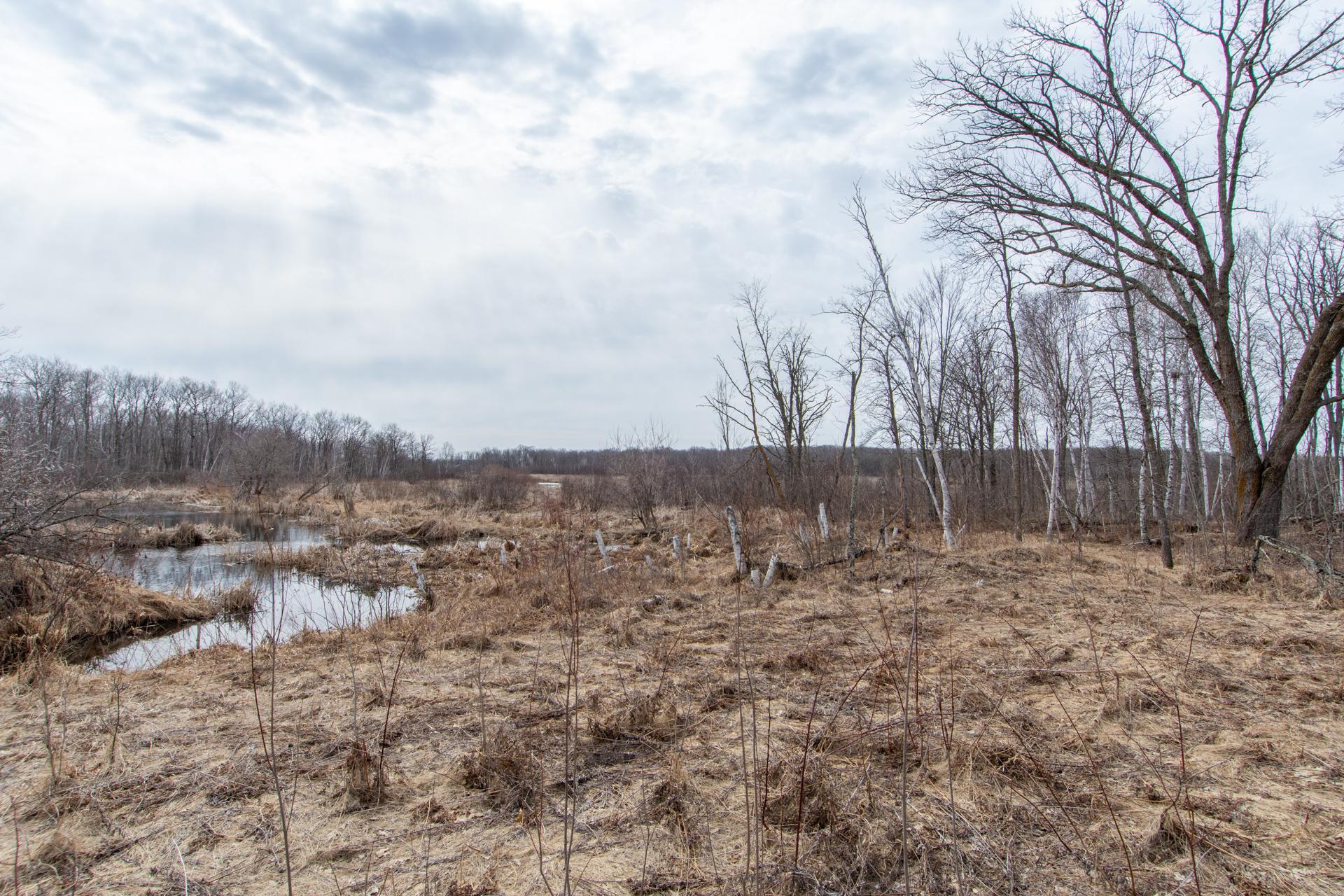 View of Land at xxx 360th Street, Onamia MN 56359, Onamia (14 of 17) - Mike Wilen | Minnesota Team Real Estate