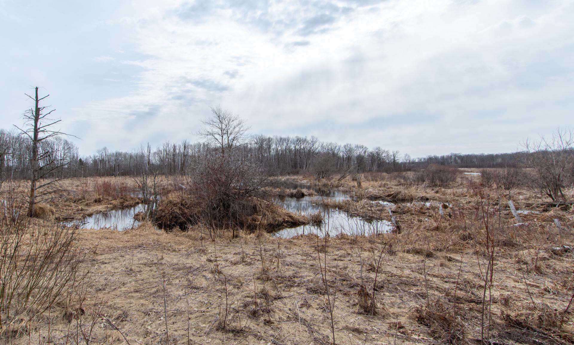 View of Land at xxx 360th Street, Onamia MN 56359, Onamia (13 of 17) - Mike Wilen | Minnesota Team Real Estate