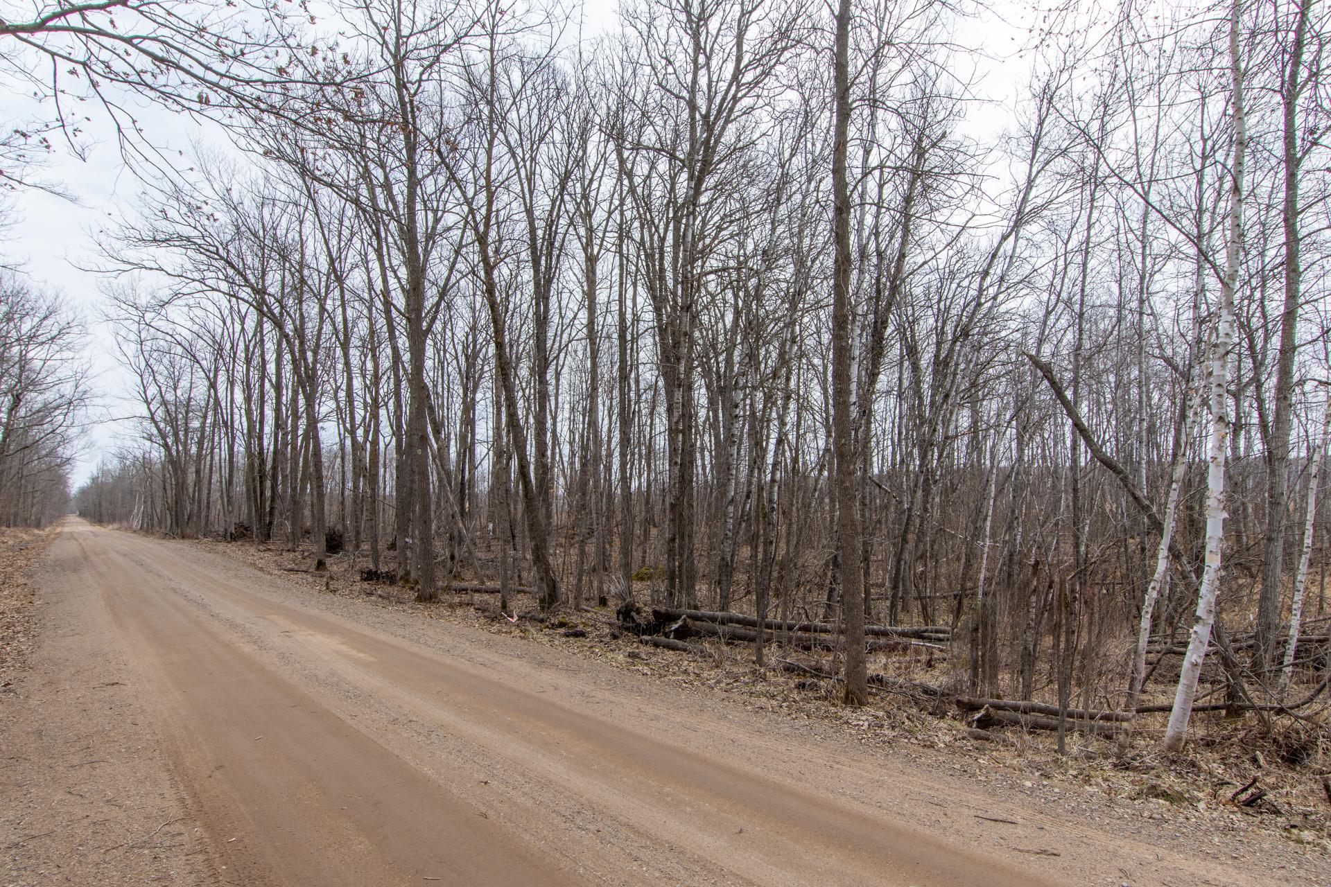 View of Land at xxx 360th Street, Onamia MN 56359, Onamia (10 of 17) - Mike Wilen | Minnesota Team Real Estate