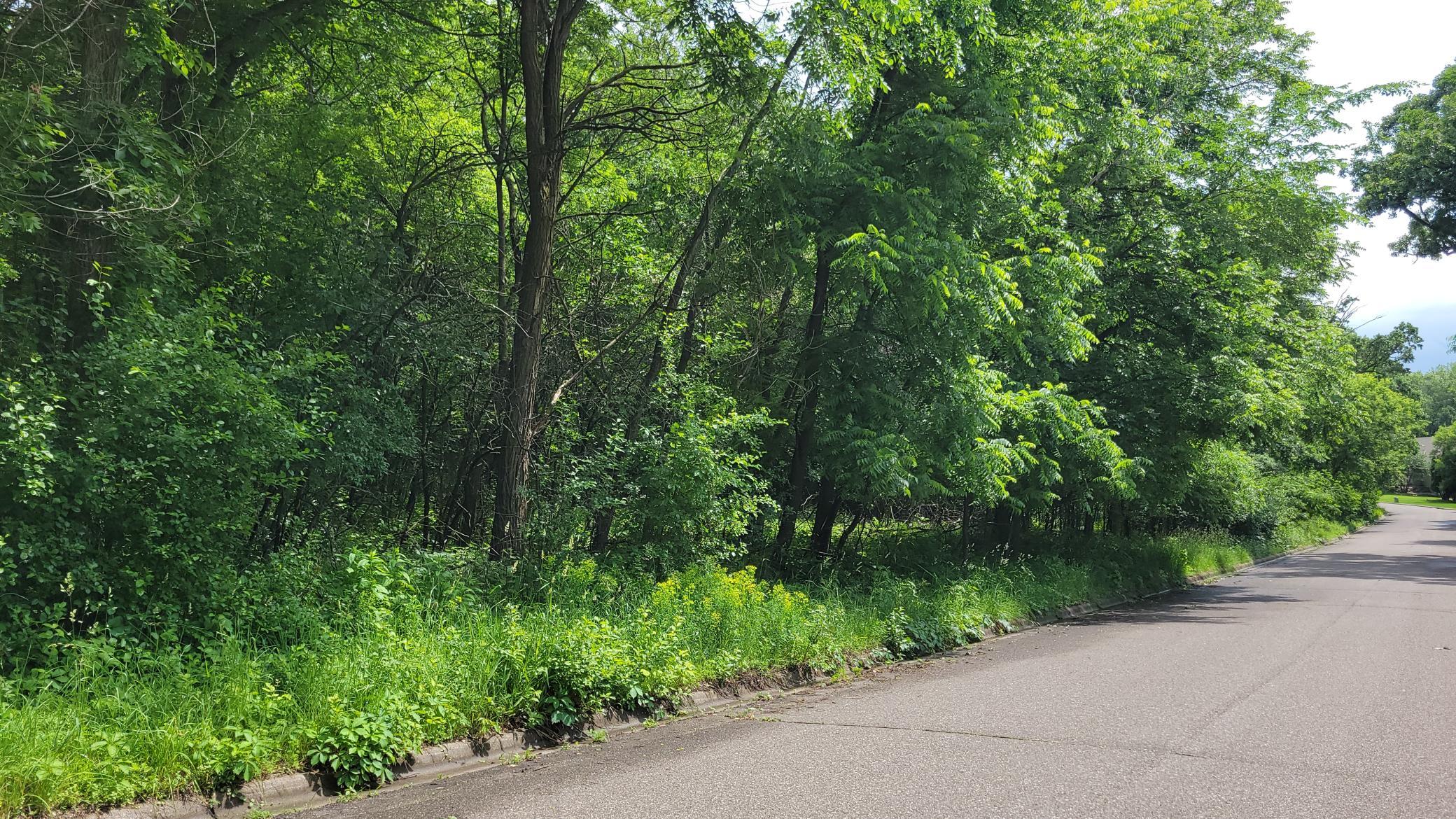 View of Land at 4893 Woodhurst Lane, Minnetonka MN 55345, Minnetonka (4 of 12) - Mike Wilen | Minnesota Team Real Estate