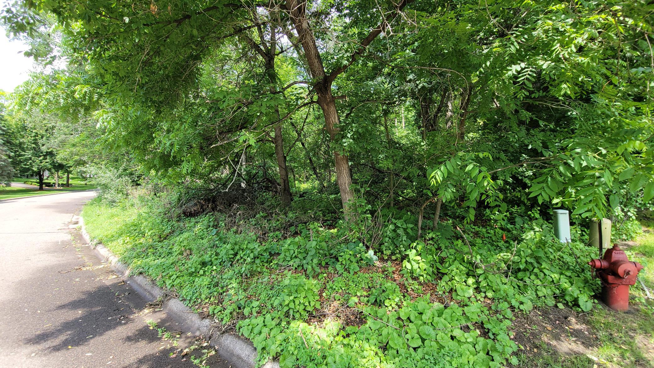 View of Land at 4893 Woodhurst Lane, Minnetonka MN 55345, Minnetonka (7 of 12) - Mike Wilen | Minnesota Team Real Estate