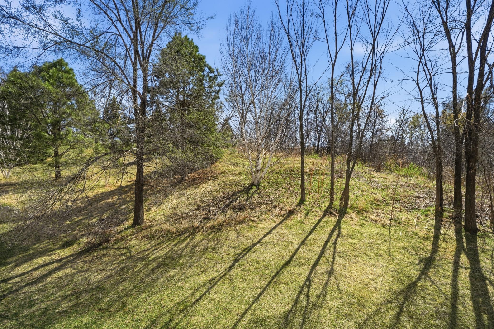 View of Residential at 2156 Cedar Grove Trail, Eagan MN 55122, Eagan (35 of 53) - Mike Wilen | Minnesota Team Real Estate