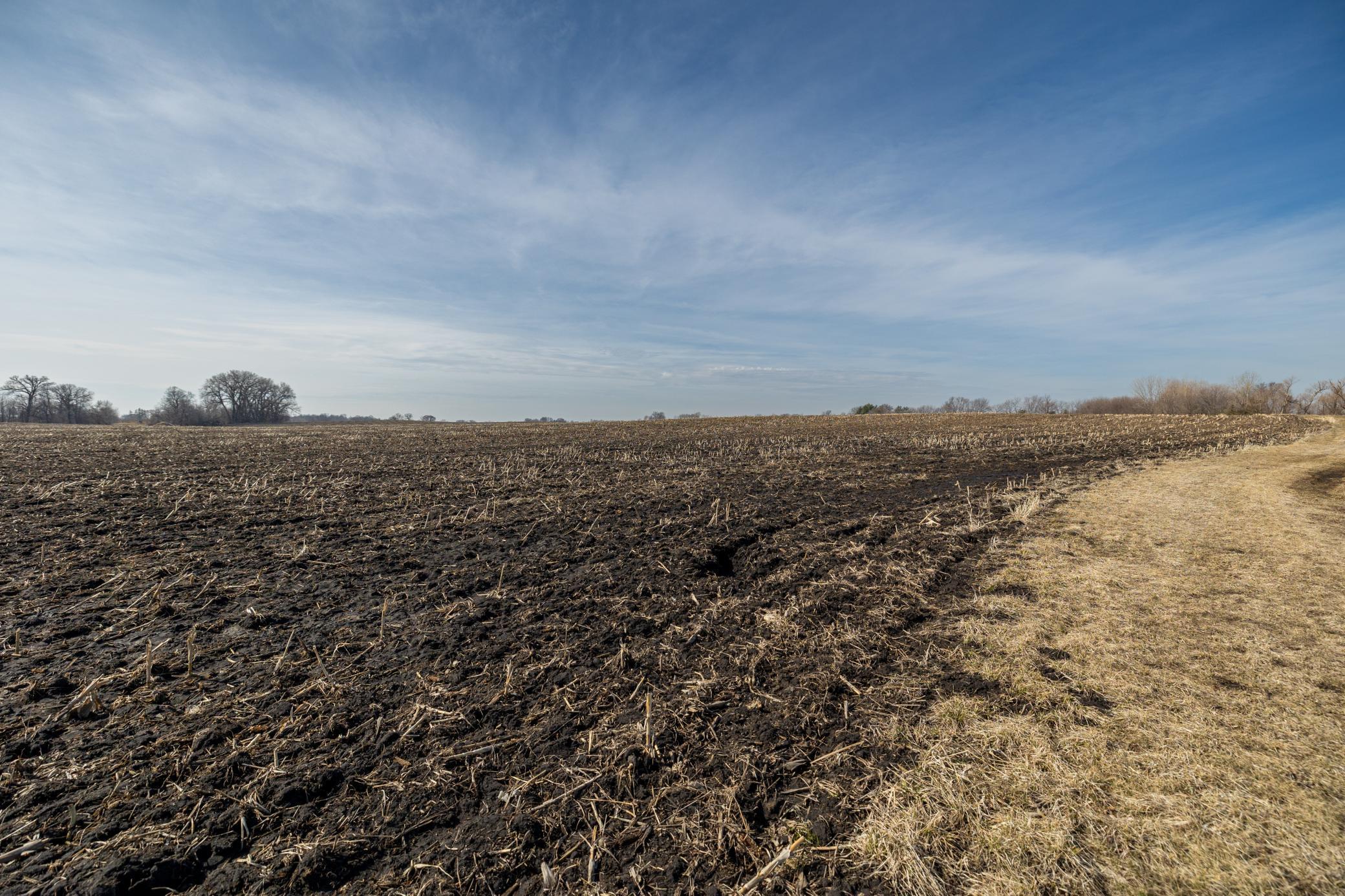 View of Land at 000 Mn-25, Mayer MN 55360, Mayer (52 of 59) - Mike Wilen | Minnesota Team Real Estate