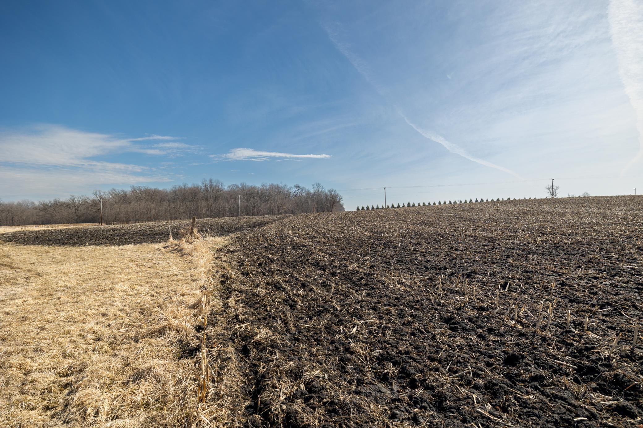 View of Land at 000 Mn-25, Mayer MN 55360, Mayer (51 of 59) - Mike Wilen | Minnesota Team Real Estate
