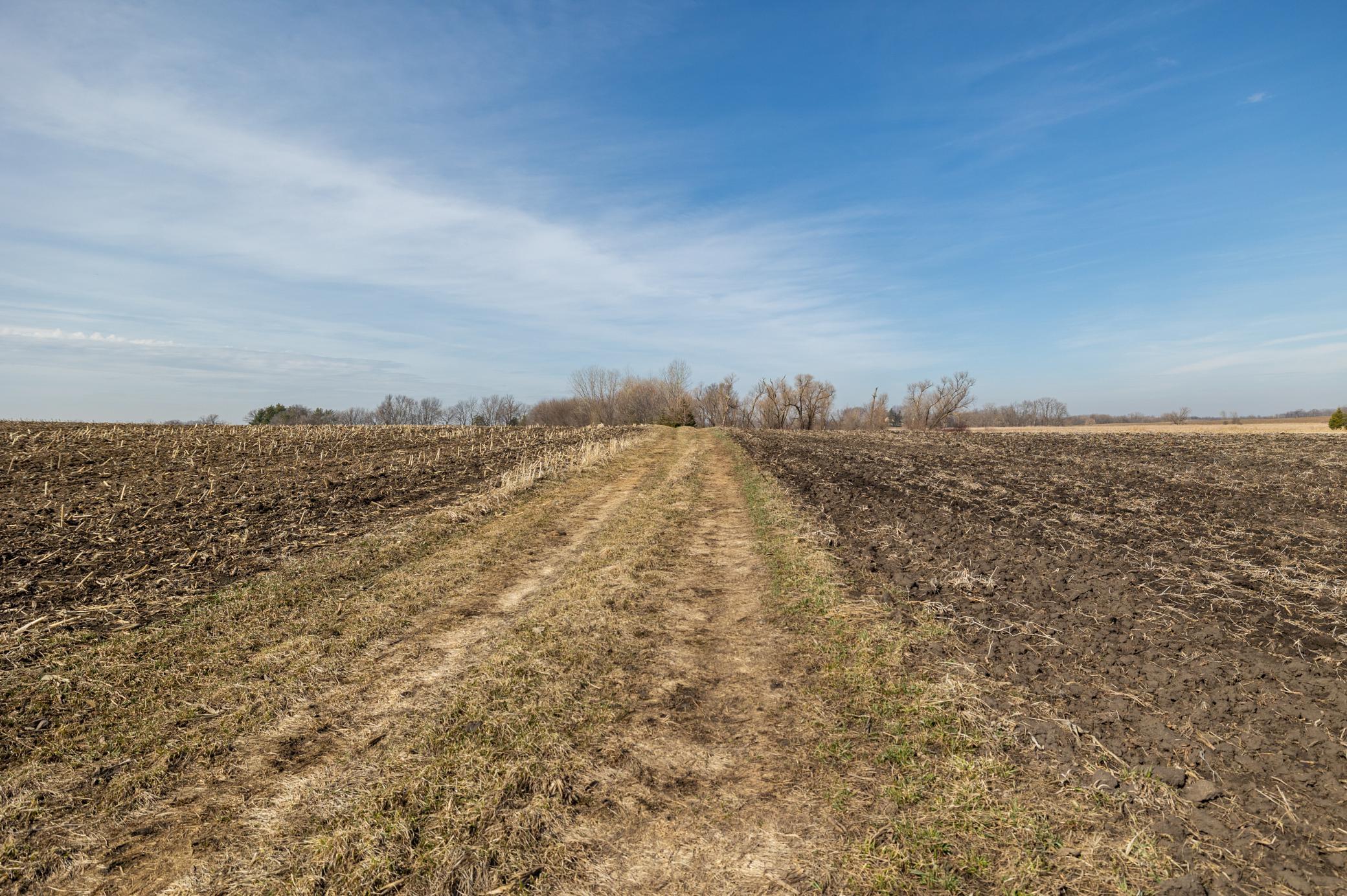 View of Land at 000 Mn-25, Mayer MN 55360, Mayer (49 of 59) - Mike Wilen | Minnesota Team Real Estate
