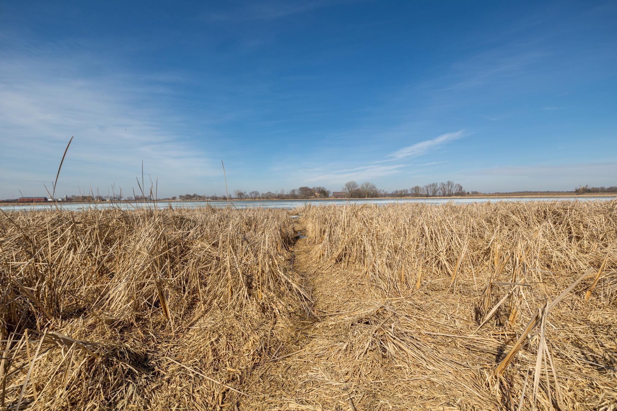 View of Land at 000 Mn-25, Mayer MN 55360, Mayer (46 of 59) - Mike Wilen | Minnesota Team Real Estate