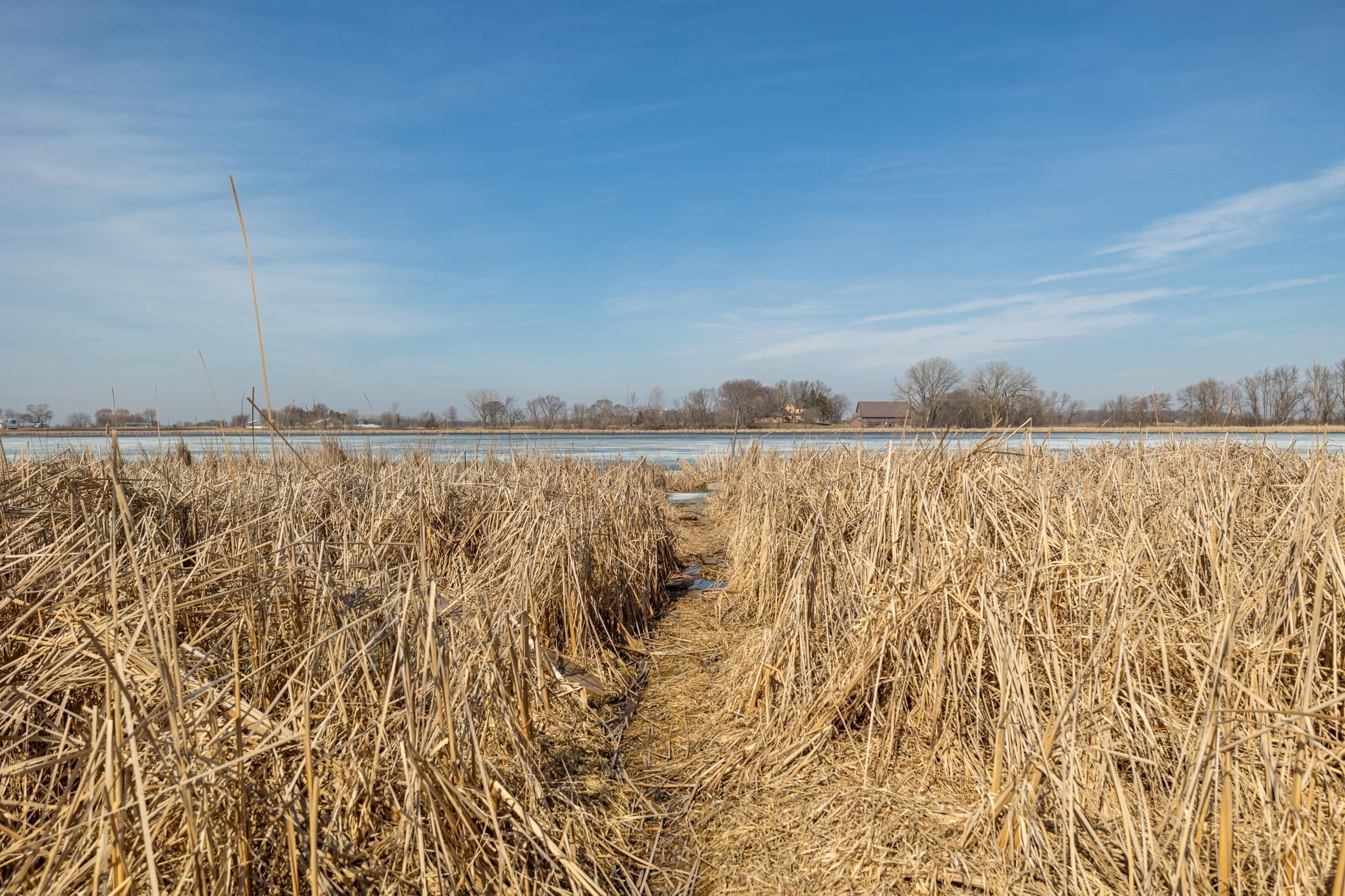 View of Land at 000 Mn-25, Mayer MN 55360, Mayer (43 of 59) - Mike Wilen | Minnesota Team Real Estate