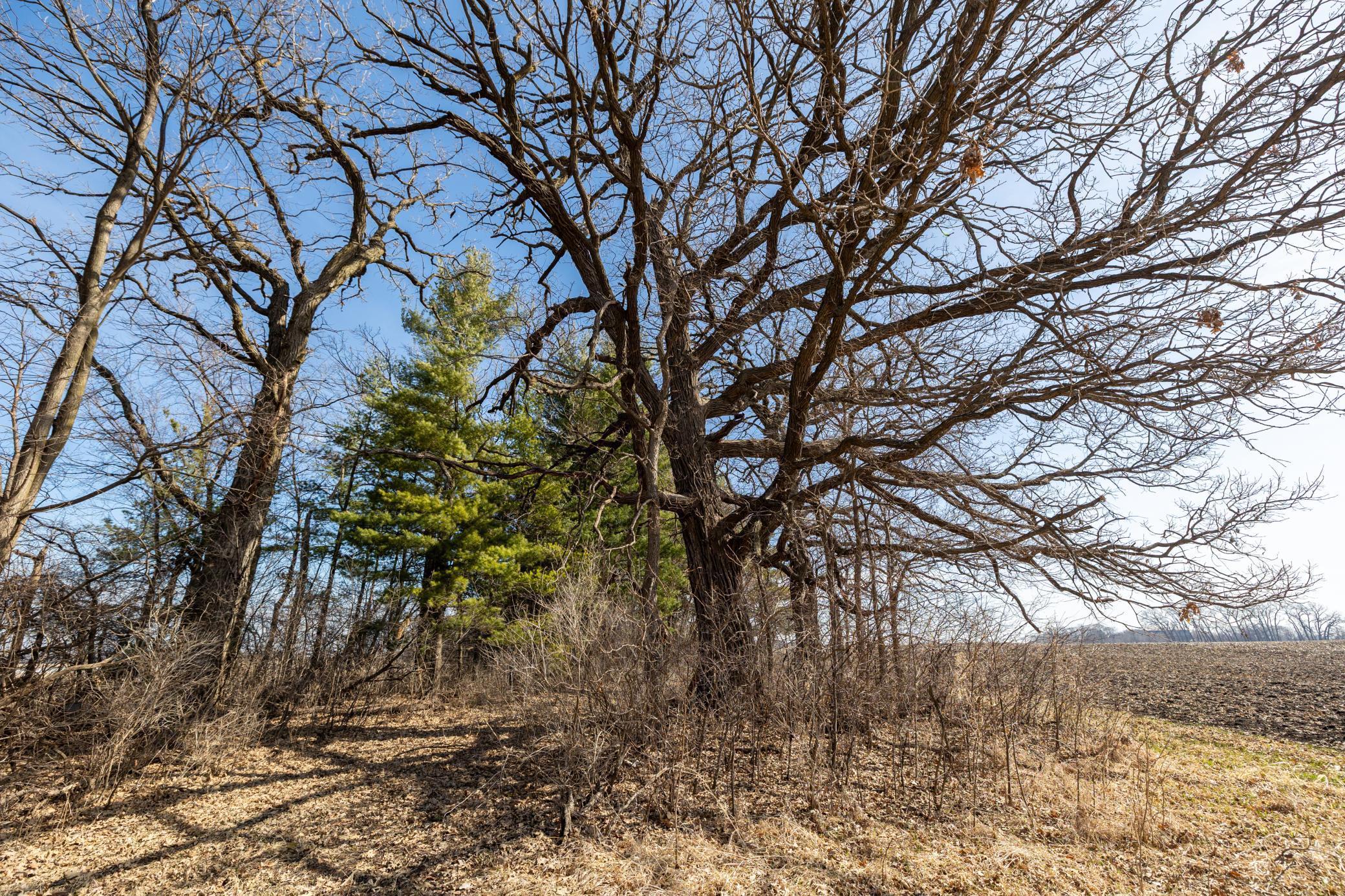 View of Land at 000 Mn-25, Mayer MN 55360, Mayer (42 of 59) - Mike Wilen | Minnesota Team Real Estate