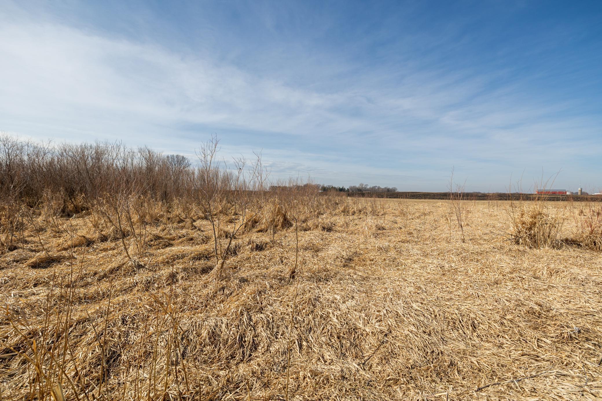 View of Land at 000 Mn-25, Mayer MN 55360, Mayer (40 of 59) - Mike Wilen | Minnesota Team Real Estate