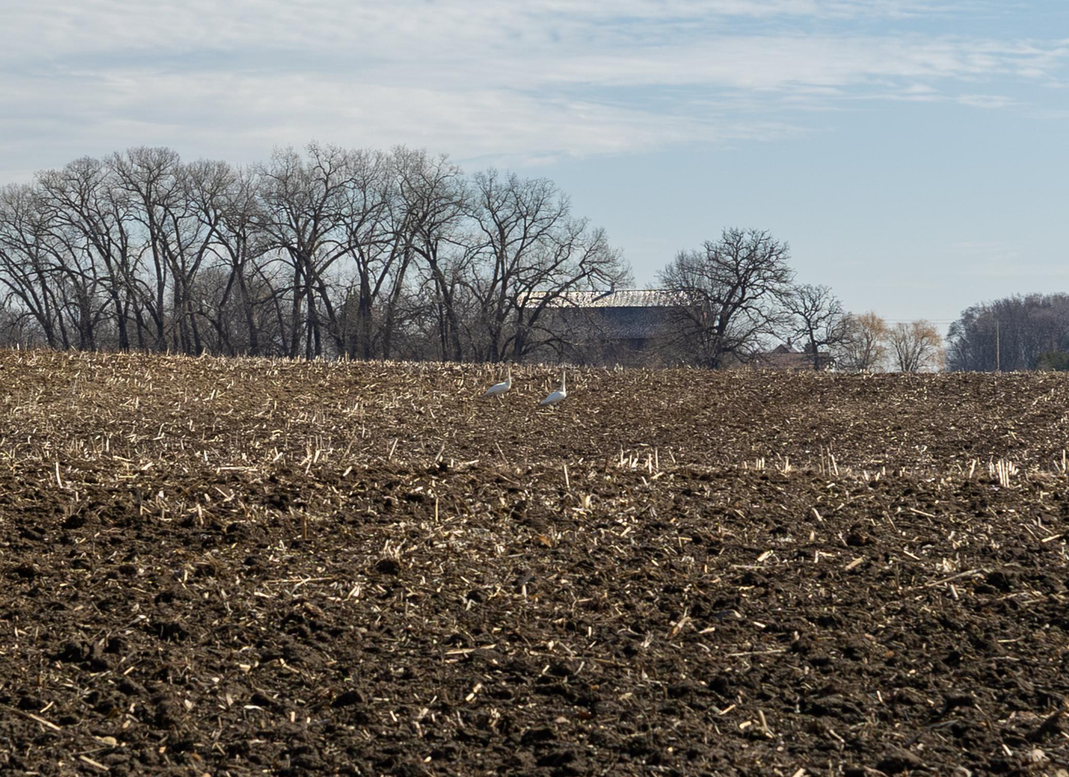 View of Land at 000 Mn-25, Mayer MN 55360, Mayer (39 of 59) - Mike Wilen | Minnesota Team Real Estate