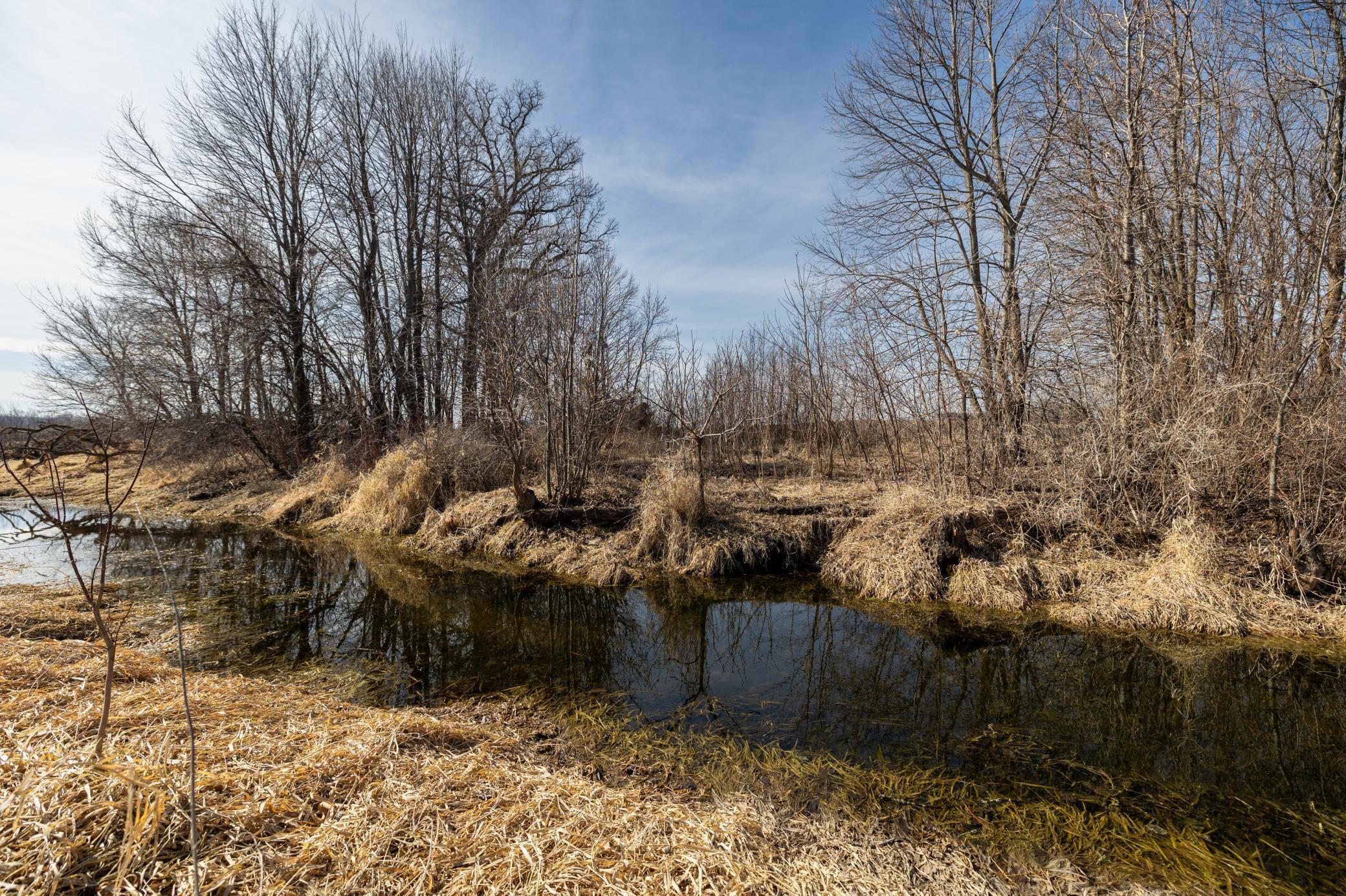View of Land at 000 Mn-25, Mayer MN 55360, Mayer (33 of 59) - Mike Wilen | Minnesota Team Real Estate