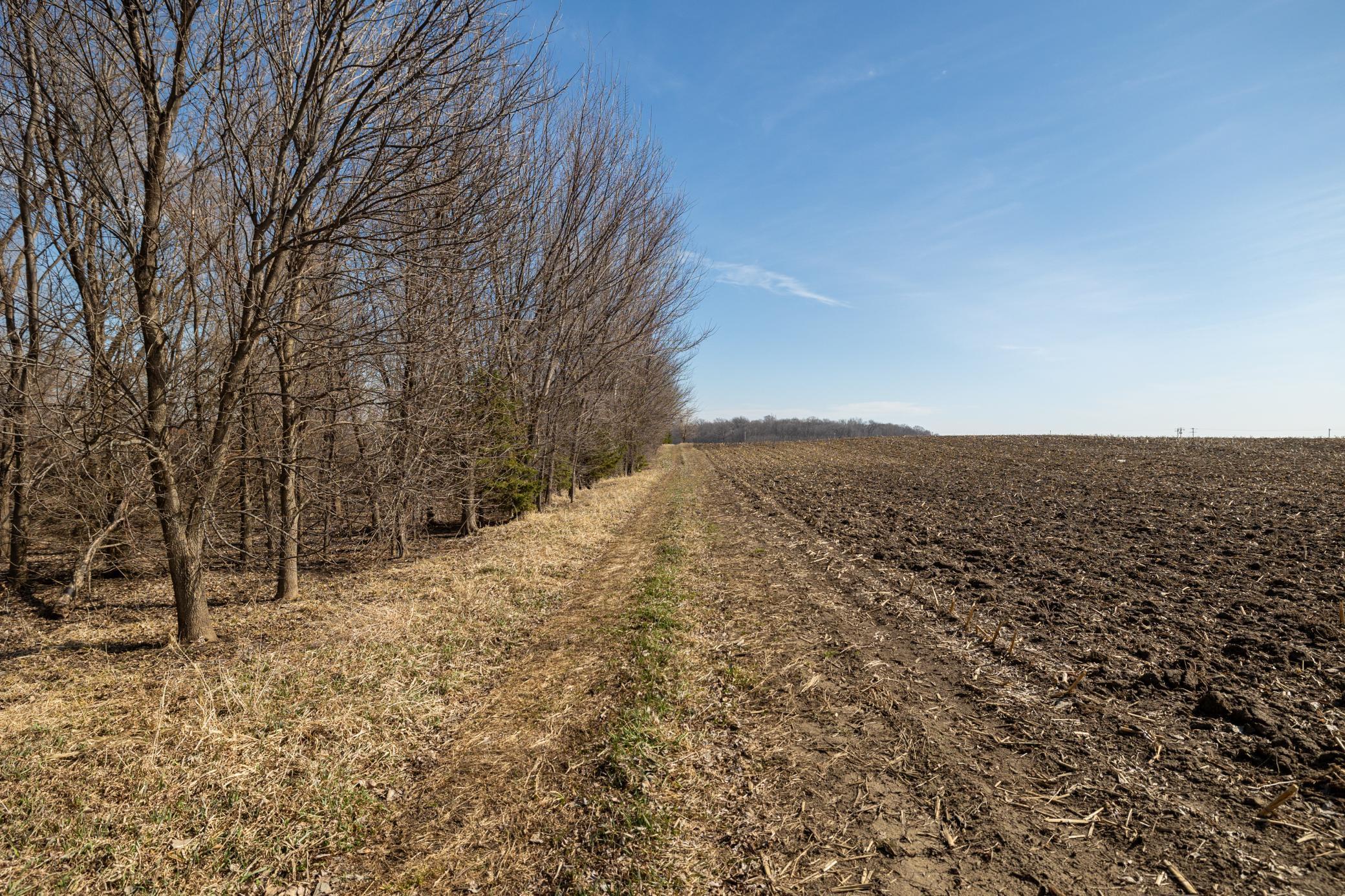 View of Land at 000 Mn-25, Mayer MN 55360, Mayer (31 of 59) - Mike Wilen | Minnesota Team Real Estate