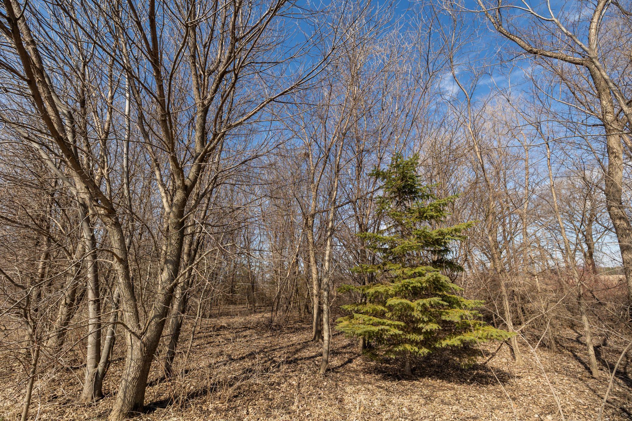 View of Land at 000 Mn-25, Mayer MN 55360, Mayer (30 of 59) - Mike Wilen | Minnesota Team Real Estate