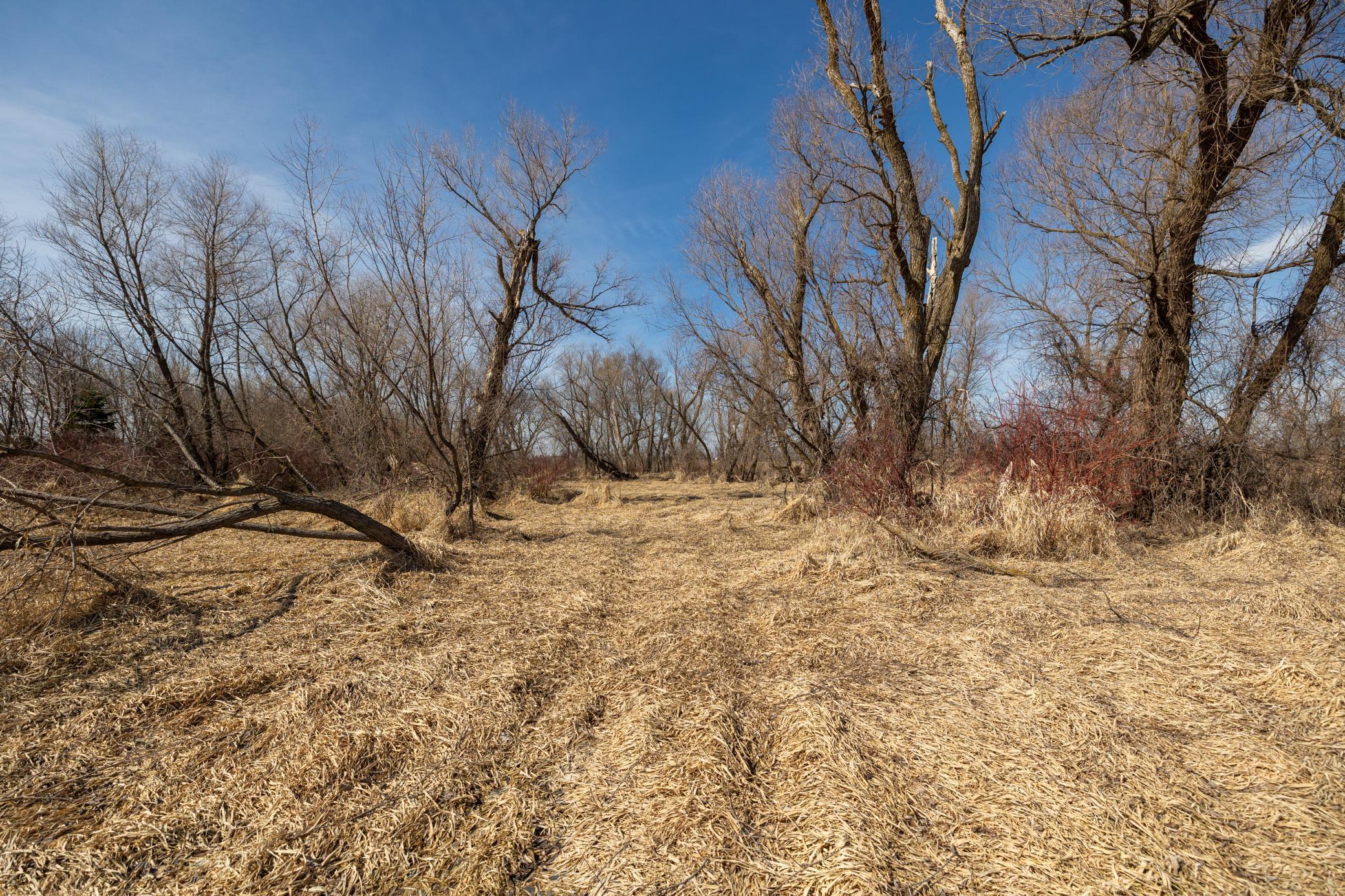 View of Land at 000 Mn-25, Mayer MN 55360, Mayer (25 of 59) - Mike Wilen | Minnesota Team Real Estate