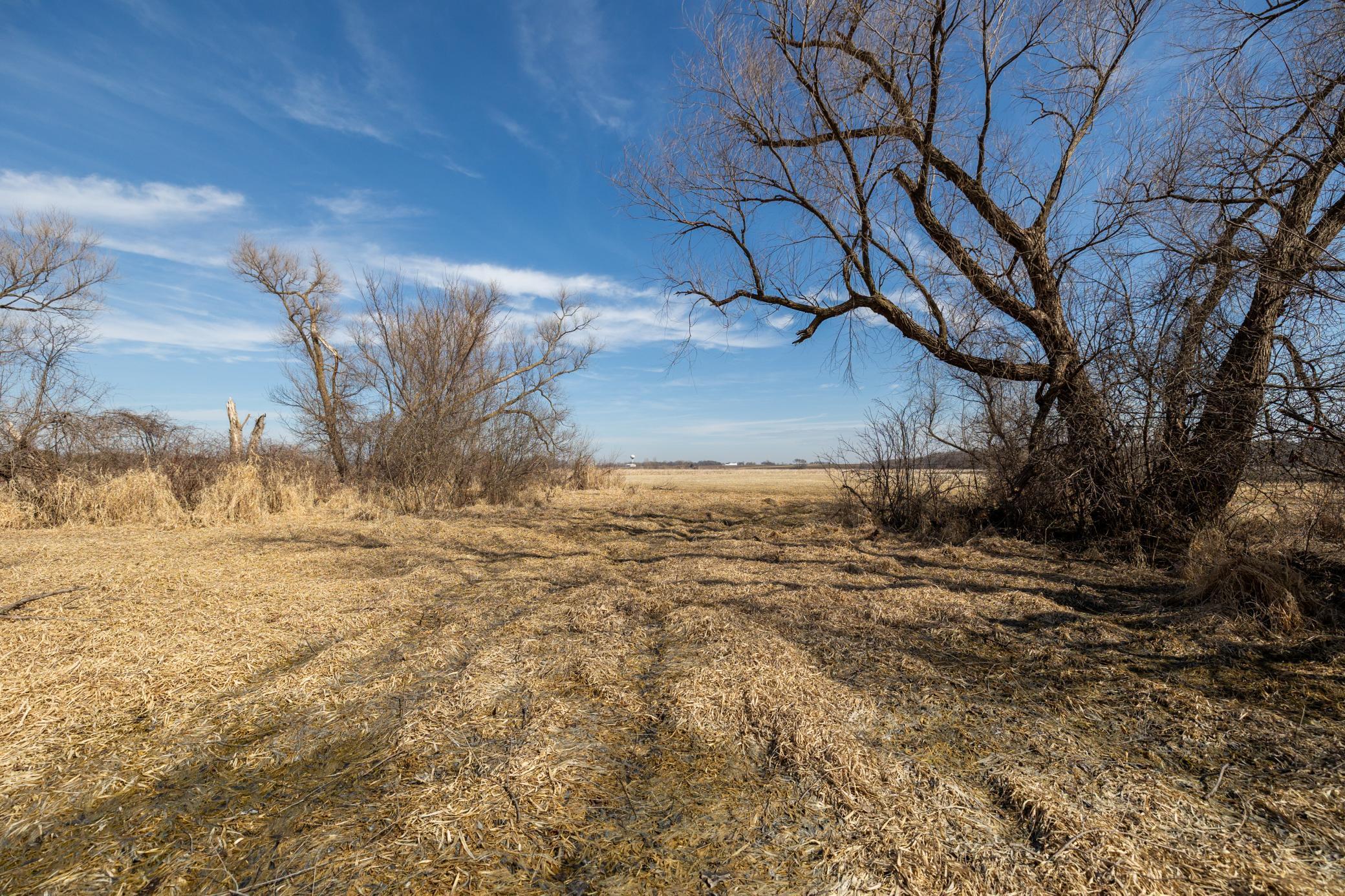 View of Land at 000 Mn-25, Mayer MN 55360, Mayer (24 of 59) - Mike Wilen | Minnesota Team Real Estate