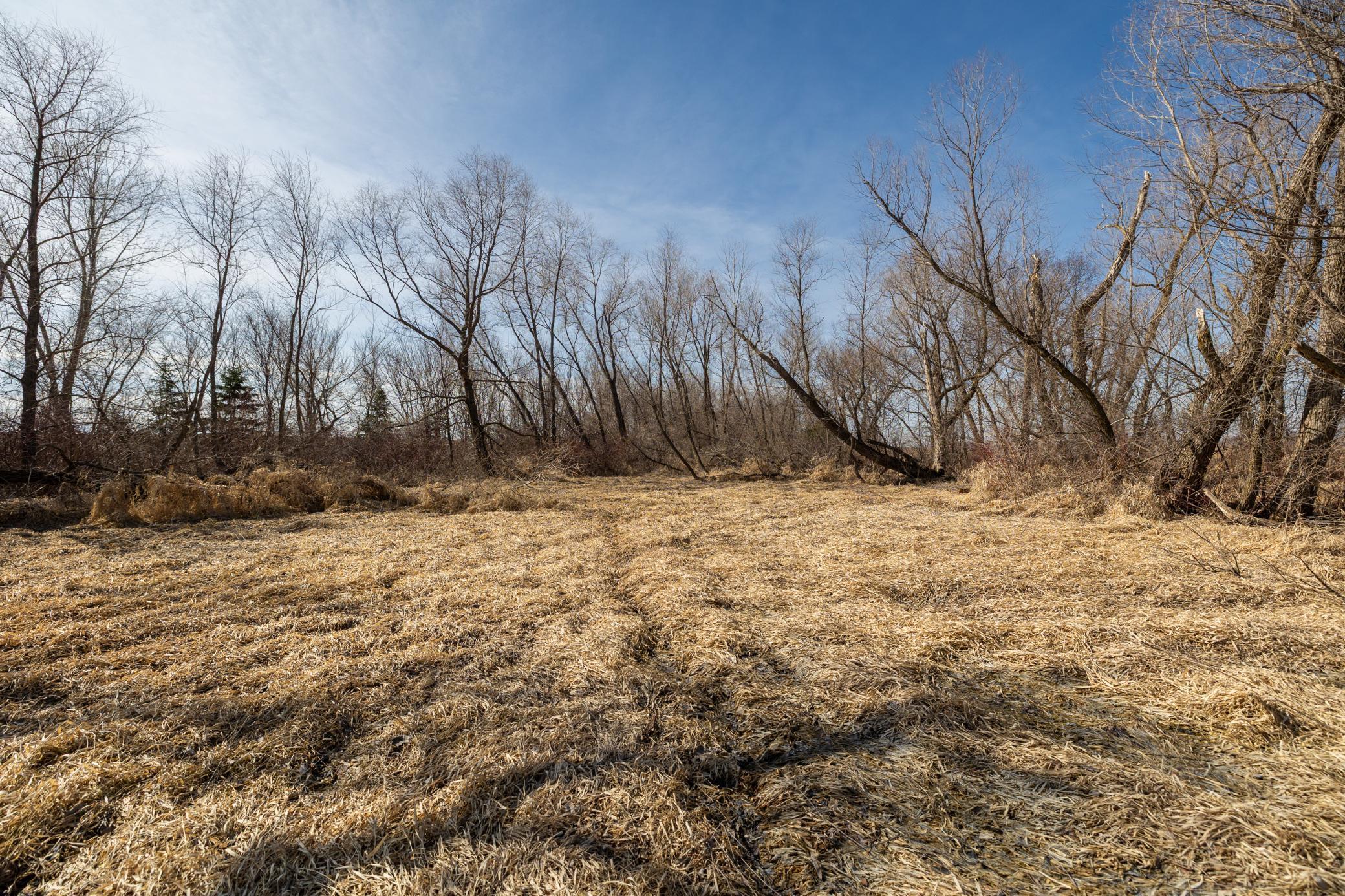 View of Land at 000 Mn-25, Mayer MN 55360, Mayer (23 of 59) - Mike Wilen | Minnesota Team Real Estate