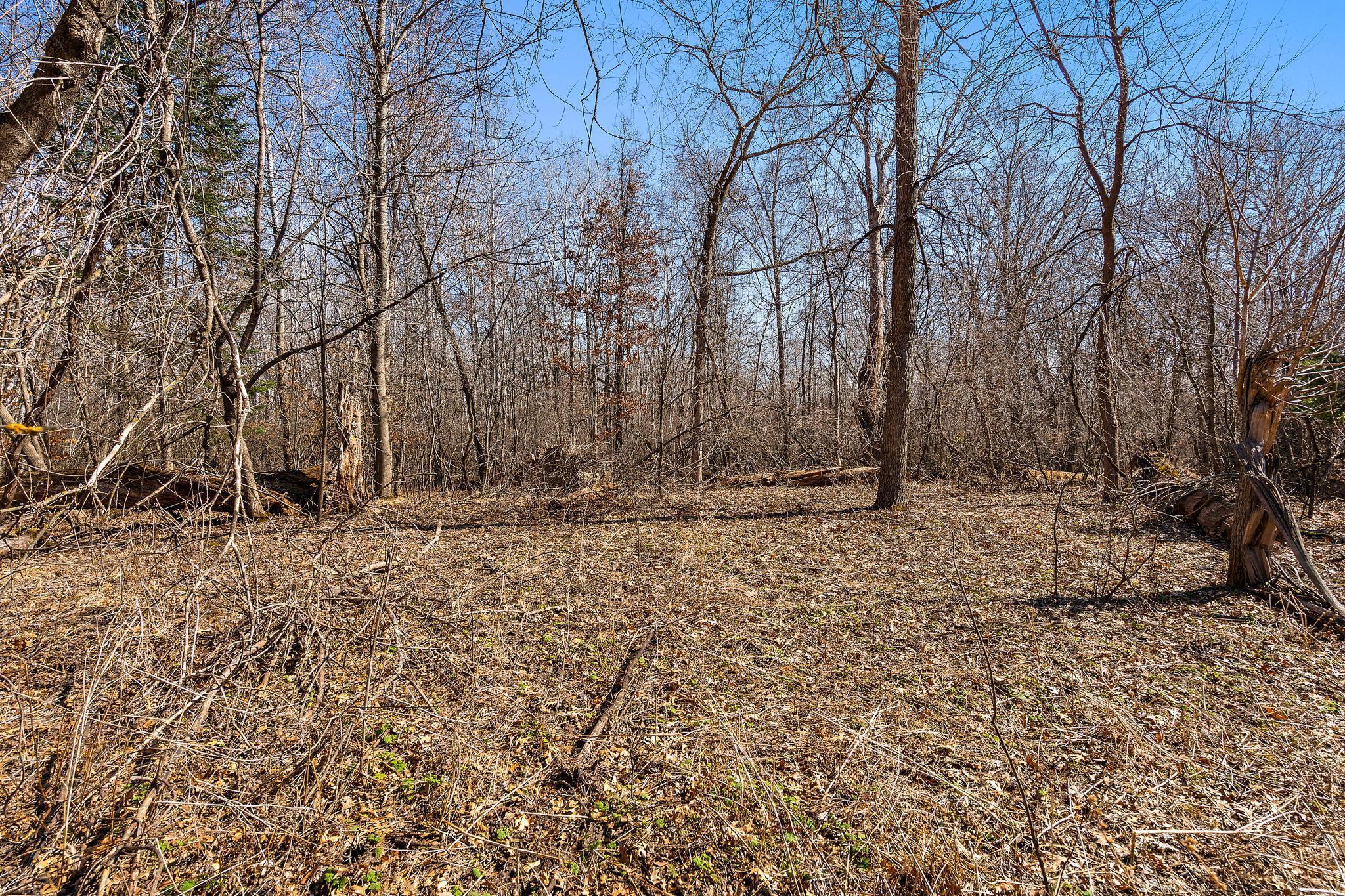 View of Land at 28319 97 1/2 Street, Zimmerman MN 55398, Zimmerman (6 of 23) - Mike Wilen | Minnesota Team Real Estate