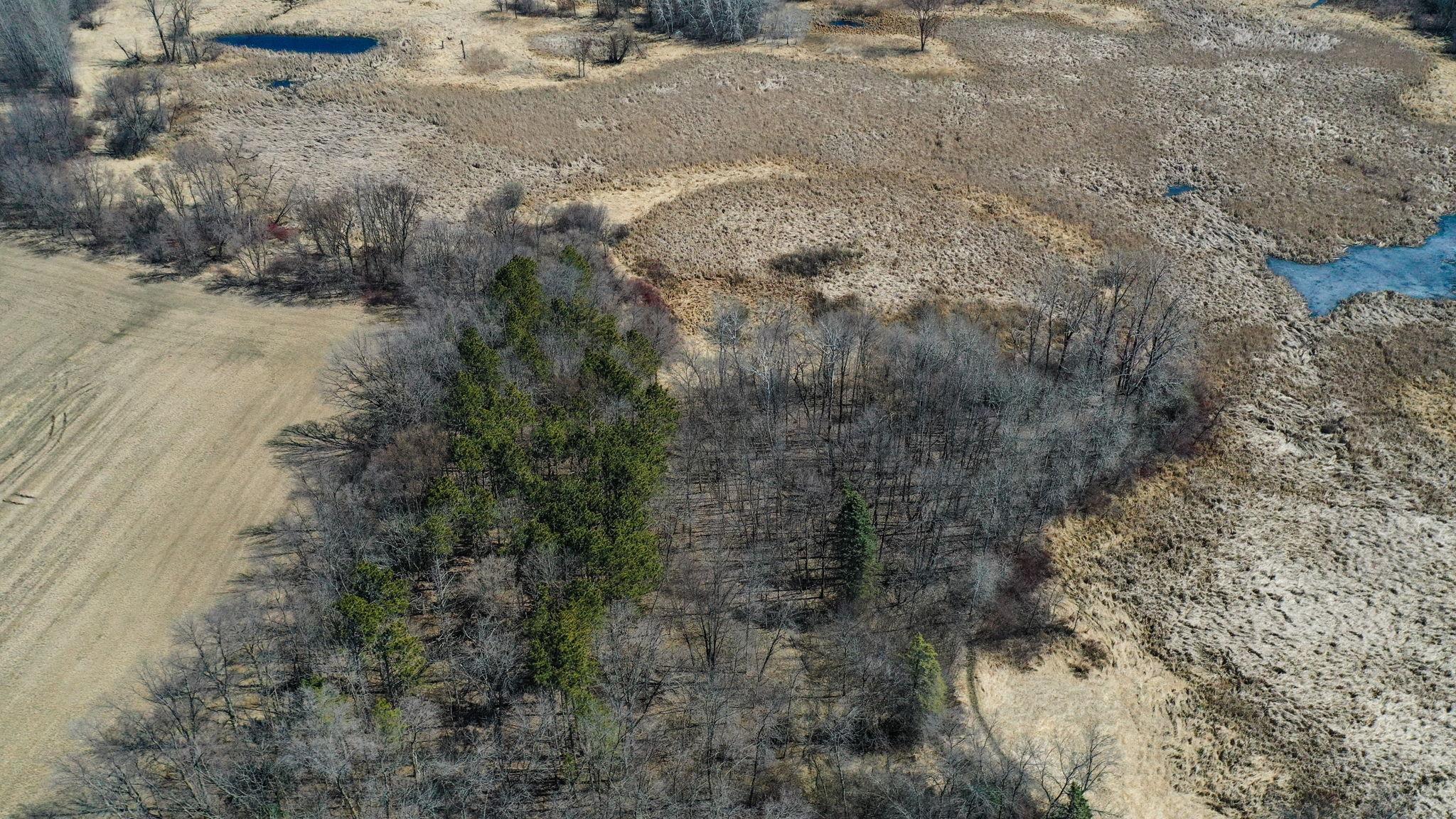 View of Land at TBD Elmcrest Avenue, Forest Lake MN 55025, Forest Lake (6 of 13) - Mike Wilen | Minnesota Team Real Estate