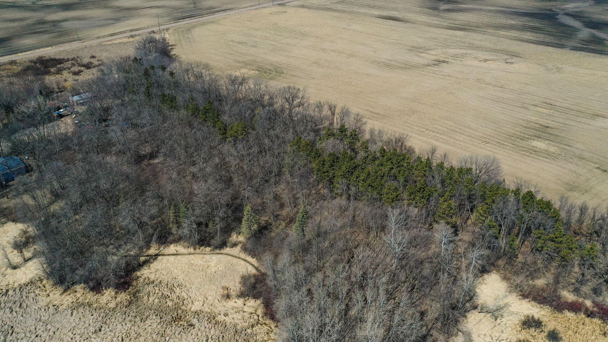 View of Land at TBD Elmcrest Avenue, Forest Lake MN 55025, Forest Lake (10 of 13) - Mike Wilen | Minnesota Team Real Estate