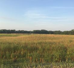 View of Land at 8354 169th Avenue, Forest Lake MN 55025, Forest Lake (4 of 5) - Mike Wilen | Minnesota Team Real Estate