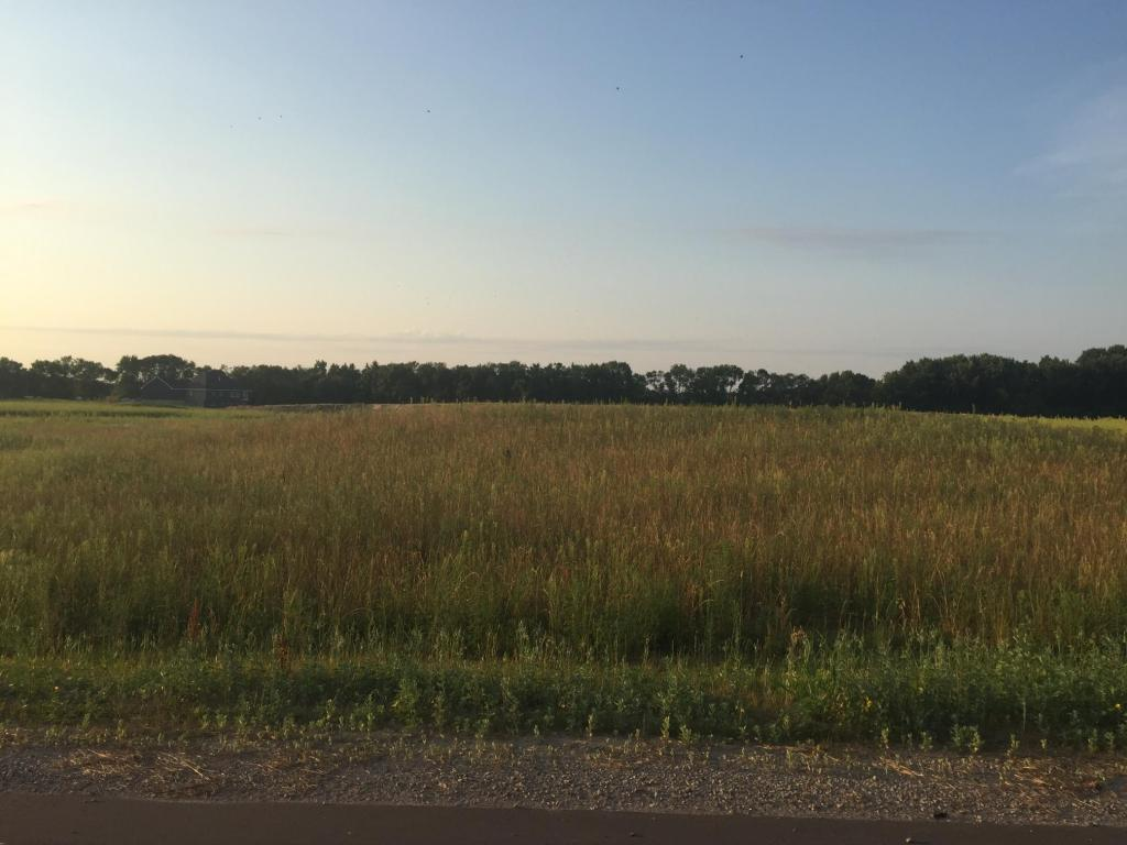 View of Land at 8354 169th Avenue, Forest Lake MN 55025, Forest Lake (2 of 5) - Mike Wilen | Minnesota Team Real Estate