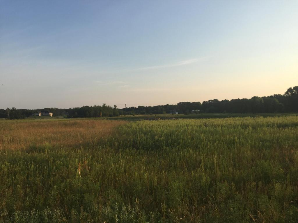 View of Land at 8354 169th Avenue, Forest Lake - Mike Wilen | Minnesota Team Real Estate