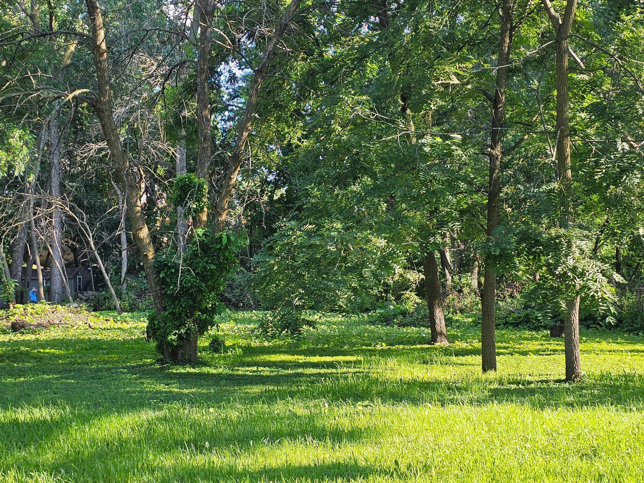 View of Land at 822 Palm Court, North Saint Paul MN 55109, North Saint Paul (6 of 12) - Mike Wilen | Minnesota Team Real Estate