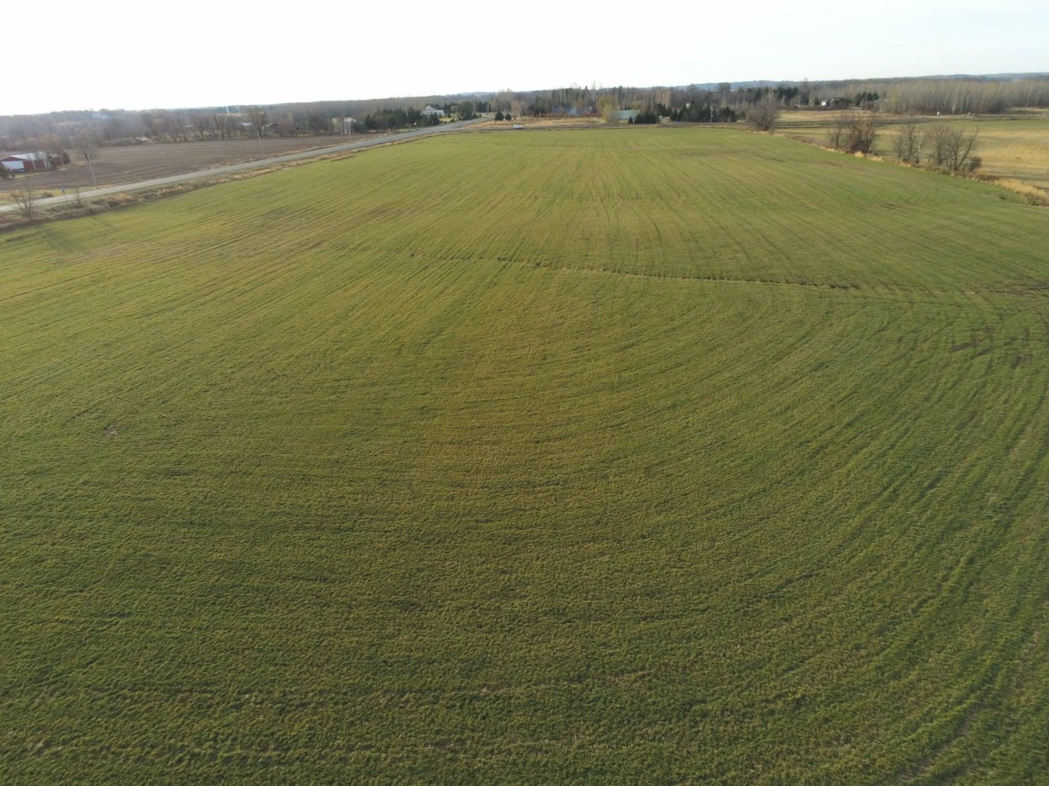 View of Land at Lot 2 Rush Lake Trail, Braham MN 55006, Braham (5 of 7) - Mike Wilen | Minnesota Team Real Estate