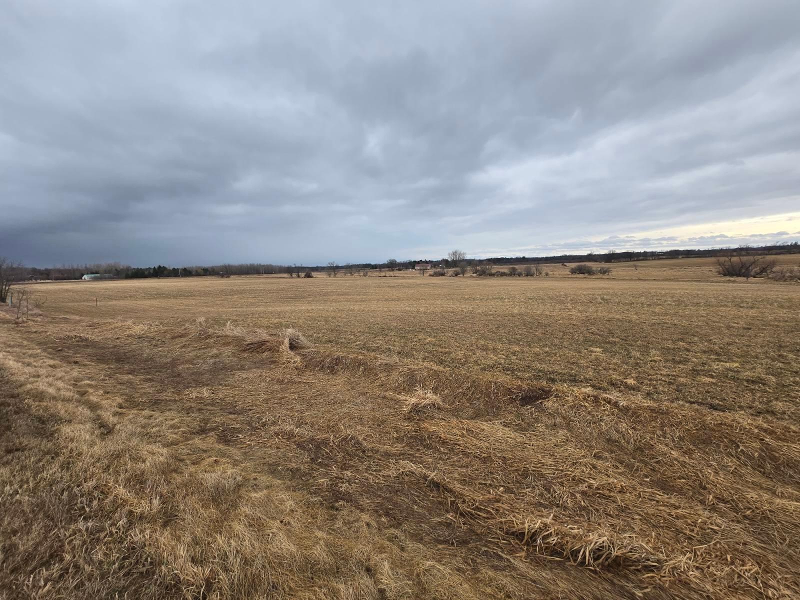 View of Land at Lot 3 Lake Drive, Braham MN 55006, Braham (3 of 3) - Mike Wilen | Minnesota Team Real Estate