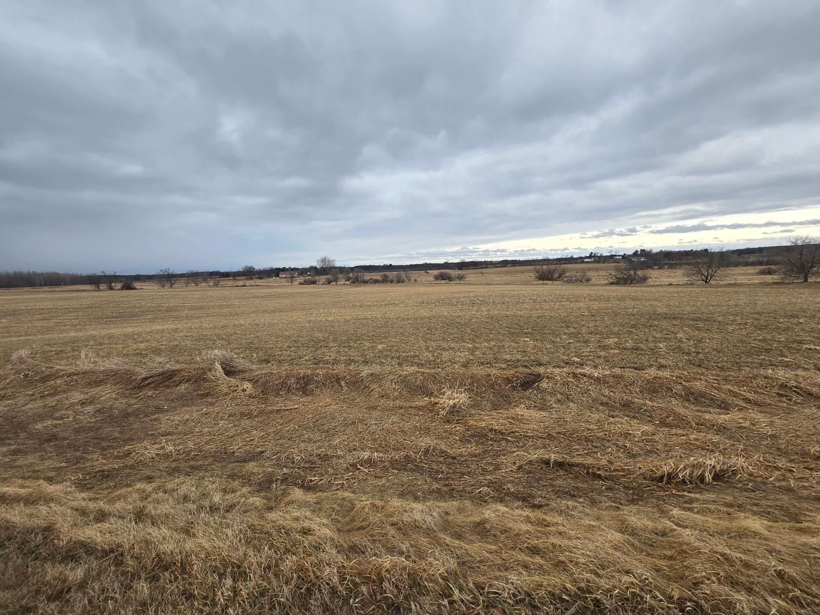 View of Land at Lot 3 Lake Drive, Braham MN 55006, Braham (2 of 3) - Mike Wilen | Minnesota Team Real Estate