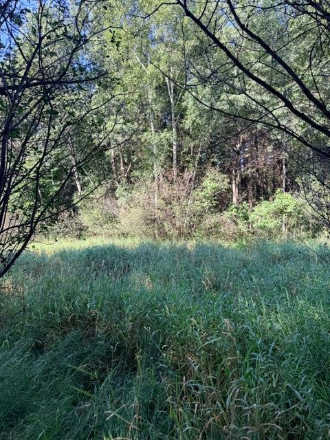 View of Land at 000 University Avenue, Isanti MN 55040, Isanti (7 of 37) - Mike Wilen | Minnesota Team Real Estate