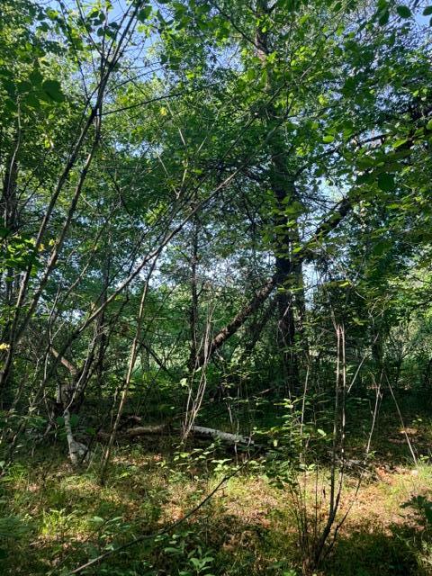 View of Land at 000 University Avenue, Isanti MN 55040, Isanti (6 of 37) - Mike Wilen | Minnesota Team Real Estate