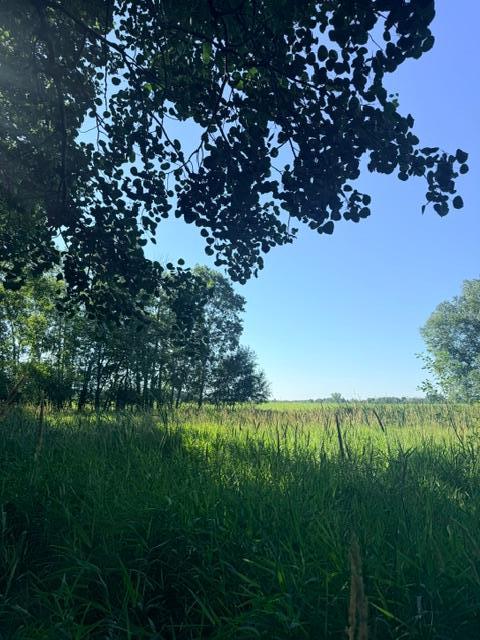 View of Land at 000 University Avenue, Isanti MN 55040, Isanti (12 of 37) - Mike Wilen | Minnesota Team Real Estate