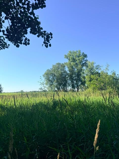 View of Land at 000 University Avenue, Isanti MN 55040, Isanti (11 of 37) - Mike Wilen | Minnesota Team Real Estate