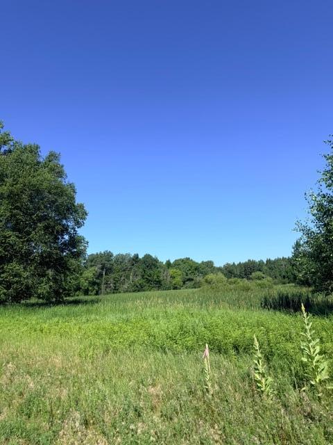 View of Land at 000 University Avenue, Isanti MN 55040, Isanti (10 of 37) - Mike Wilen | Minnesota Team Real Estate
