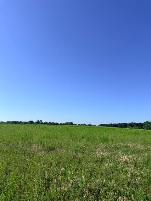 View of Land at 000 University Avenue, Isanti MN 55040, Isanti (9 of 37) - Mike Wilen | Minnesota Team Real Estate